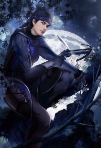 凤鸣九天：宝贝夫君陪妻狂