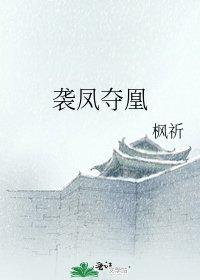 袭凤夺凰